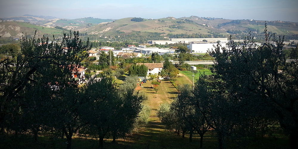 panoramica orto di paolo